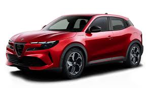 Alfa Romeo Junior en Tonale laadkabels Type 2 7.4-11 kW