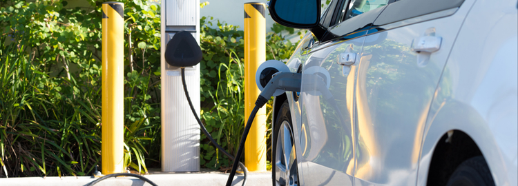 EV-laadaccessoires – Kabelhouders, adapters en beschermhoezen voor elektrische auto's.