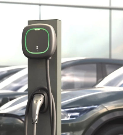 Wallbox | Pulsar Pro | Laadpaal | 22kW | Kabel - BlackCharge 5M kabel